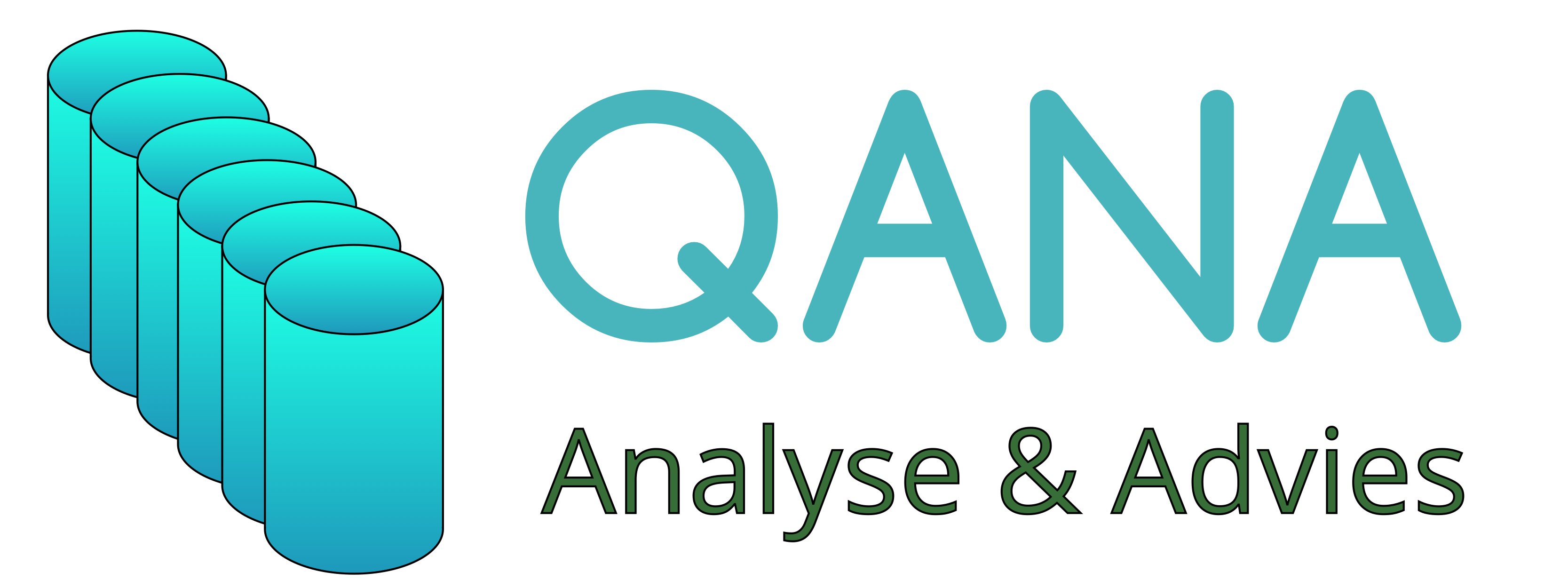 QANA Analyse & Advies